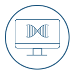Data Process