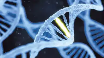 ril-arm-strand-life-sciences-genetic-wellness-testing-genomics-india-nutridna-reliance-industries-medgenome-cancer